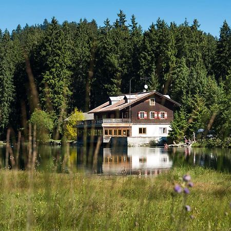 Haus Schreieck Klaudia Apartment Hofen ภายนอก รูปภาพ