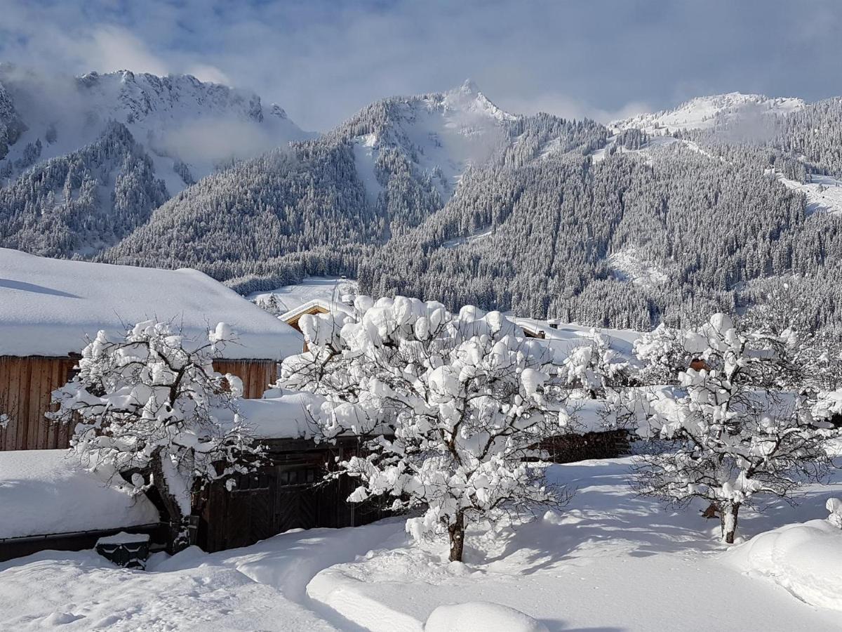 Haus Schreieck Klaudia Apartment Hofen ภายนอก รูปภาพ